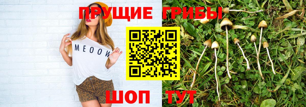 Белая Калитва  Галлюциногенные грибы Psilocybe  Вход с VPN 